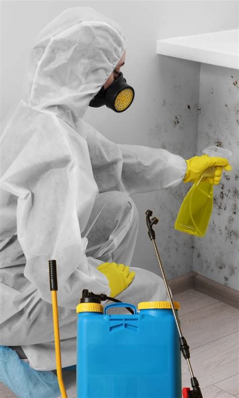 mold remediation spokane wa