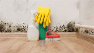 mold remediation st louis mo