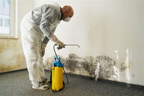 mold remediation utah