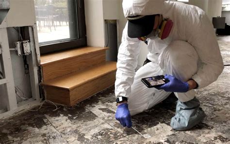 mold remediation washington dc