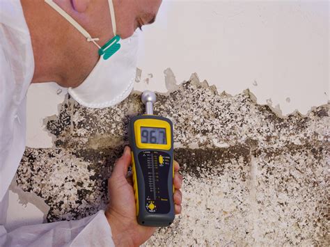 mold testing and remediation