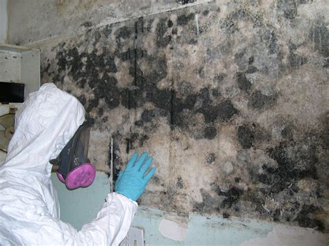 ozone mold remediation