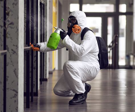 servpro mold remediation reviews