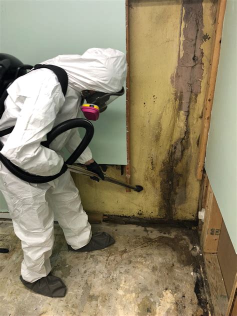 water and mold remediation