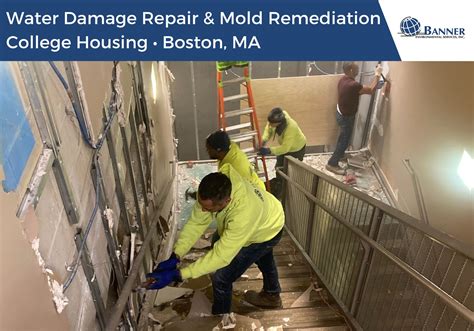 water damage and mold remediation